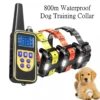 Electric Dog Training Collar - Waterproof, Rechargeable Anti-Barking Device with Remote Control | Beacon Bazar